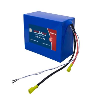 24V 20Ah LiFePO4-Akkupacks