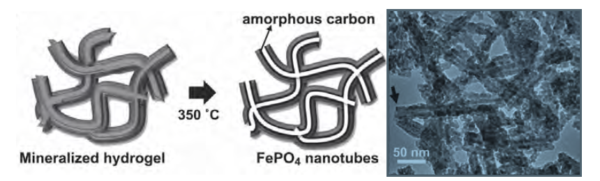Synthese nanostrukturierter Materialien mit biologischen Wirkstoffen